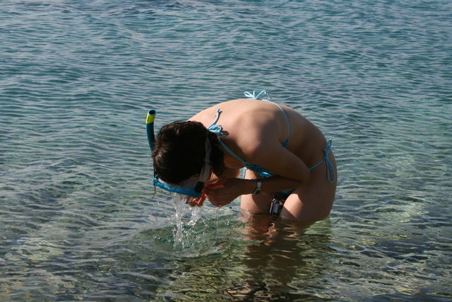 gal/cro 08/small-IMG_4963.JPG